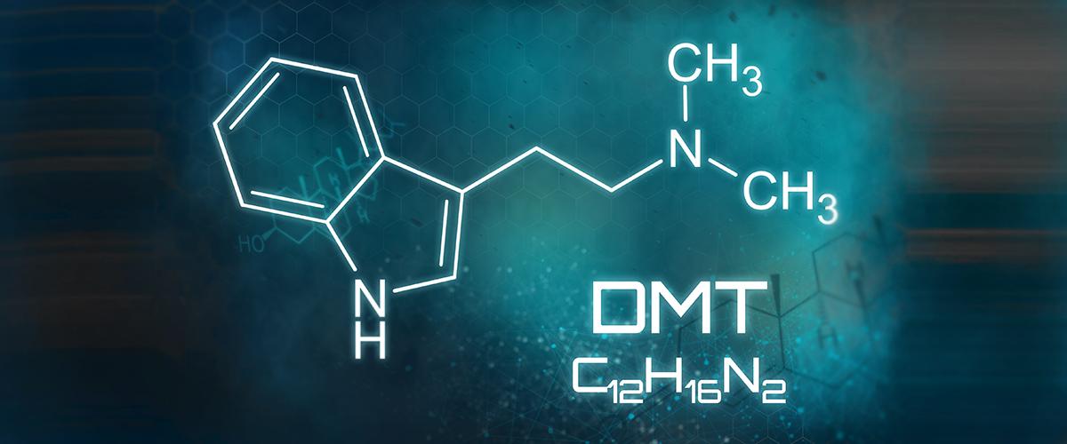 Biochemie Mimosa Hostilis 